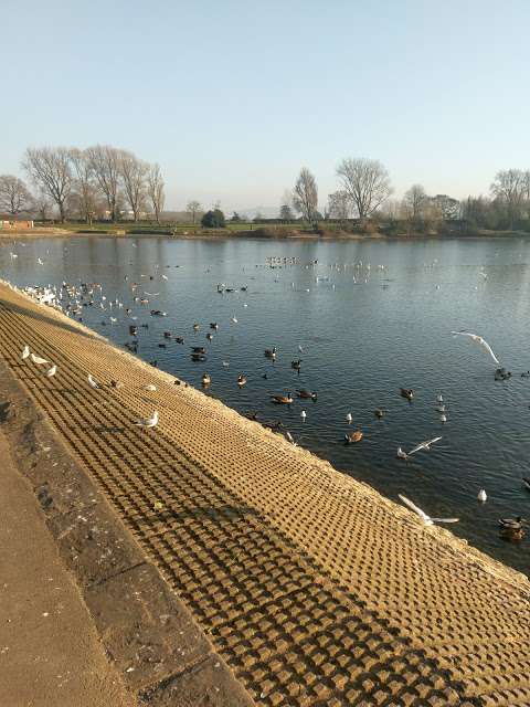 Coate Water Country Park photo